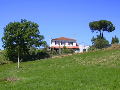 Le Cicale, Spoltore, Italy