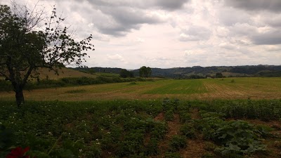 Agritourism Tenuta Armaiolo, Rapolano Terme, Italy