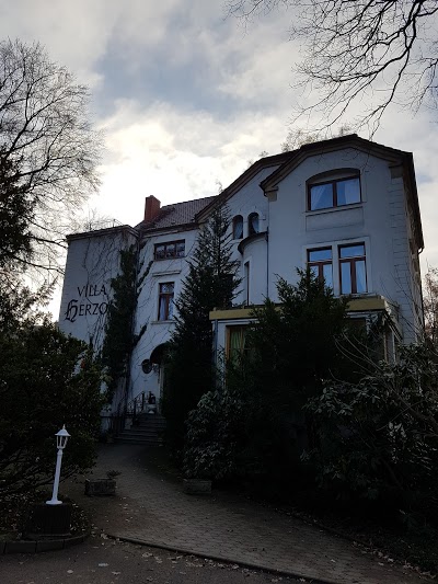 Villa Herzog, Dresden, Germany