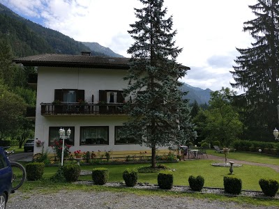 Waldkrieber, Hermagor-Pressegger See, Austria