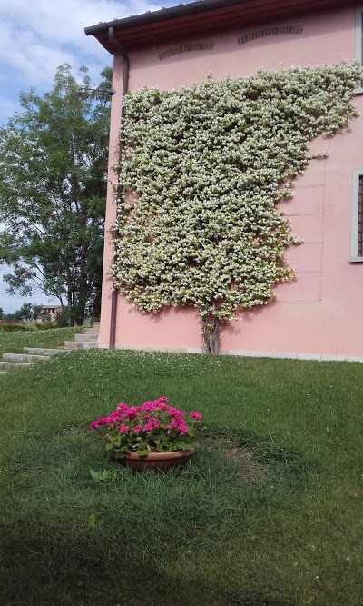 Tenuta Il Vallone, Monsummano Terme, Italy