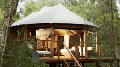Paperbark Camp, Woollamia, Australia