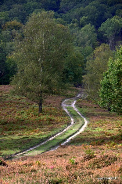 The Devil's Punchbowl Hotel, Hindhead, United Kingdom