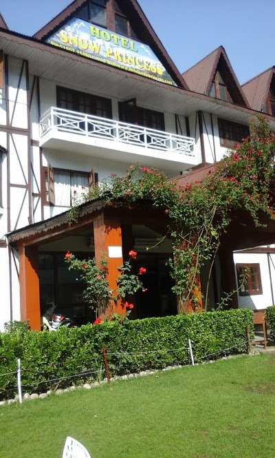 Hotel Snow Princess, Manali, India