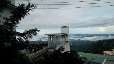 Shamrock, Munnar, India