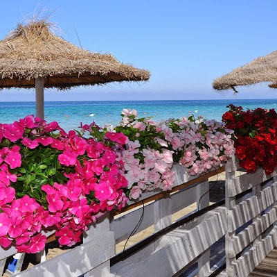 Delfino Beach Hotel, Marsala, Italy