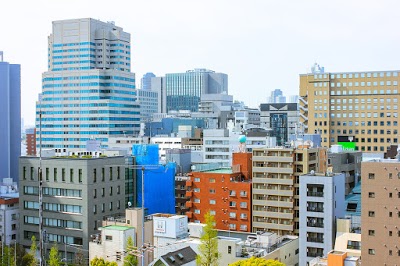 Hotel Villa Fontaine Nihombashi Hakozaki, Tokyo, Japan