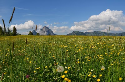 Seminar- und Wellnesshotel Stoos, Morschach, Switzerland
