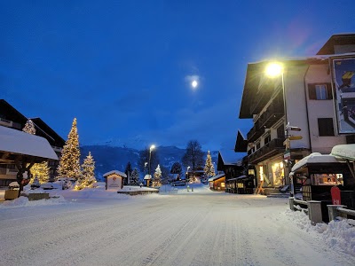 Steinbock Hotel Grindelwald, Grindelwald, Switzerland