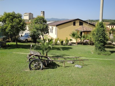 Agririo, Tavullia, Italy