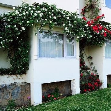 Whistling Pines Resort, Shimla, India
