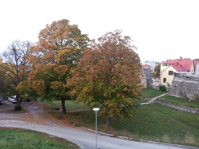 BEST WESTERN Solhem Hotel, Visby, Sweden