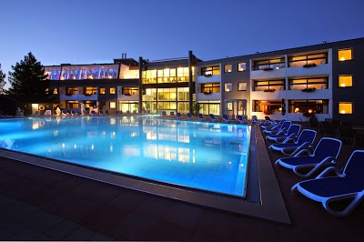 BEST WESTERN HOTEL DES NORDENS, Harrislee, Germany