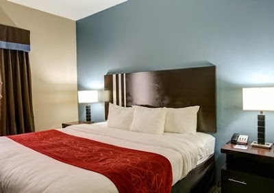 Comfort Suites Bastrop, Bastrop, United States of America