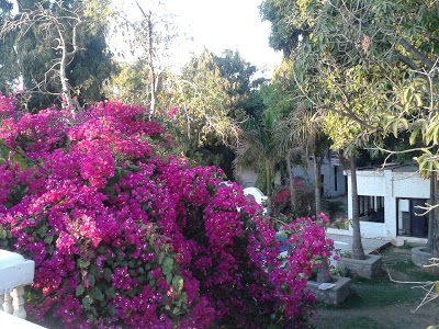 Hotel Peacock Holiday Resort, Pushkar, India
