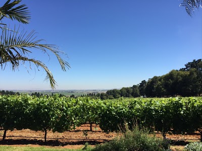 Devonvale Golf & Wine Estate, Stellenbosch, South Africa