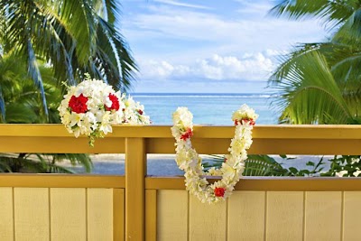 Palm Grove, Rarotonga, Cook Islands
