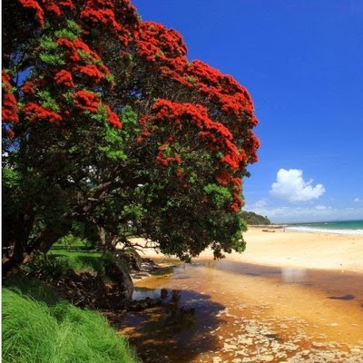 Doubtless Bay Villas, Cable Bay, New Zealand