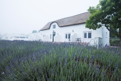 Klein Waterval Riverside Lodge, Franschhoek, South Africa