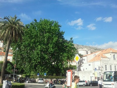 Stari Grad, Dubrovnik, Croatia