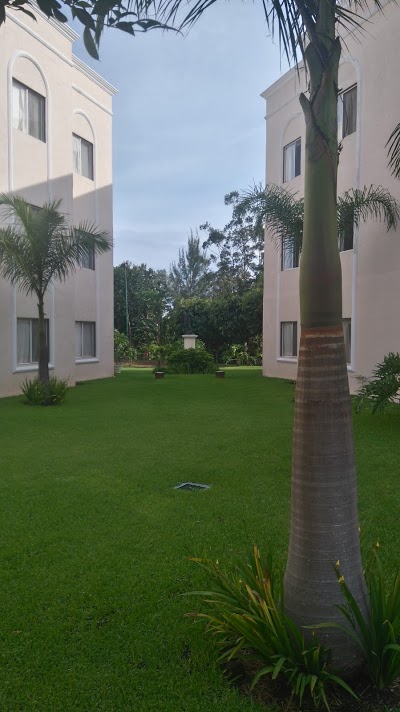 Hotel Las Palomas Tepic Express, Tepic, Mexico