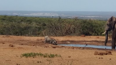 Hopefield Country House, Addo, South Africa